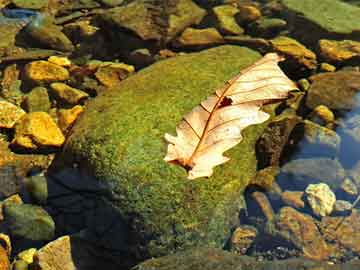 141jav最新域名